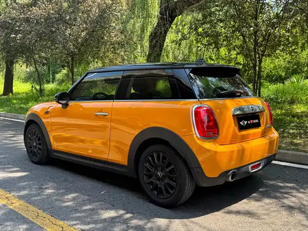 MINI 2018