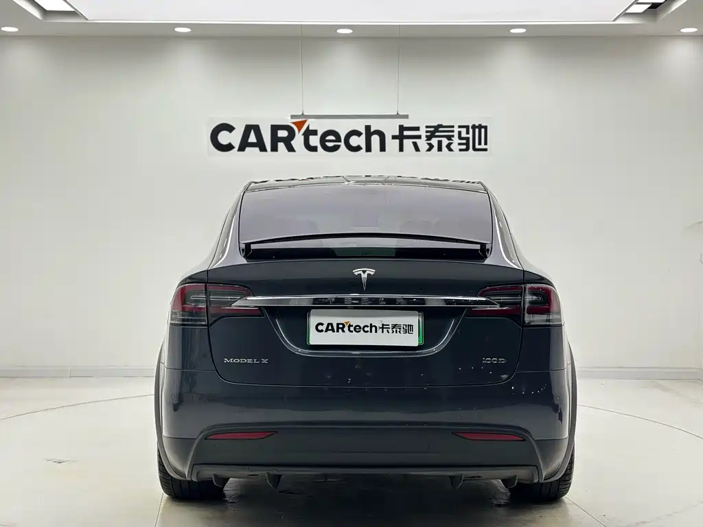 Tesla Model X 2018 — фото 6