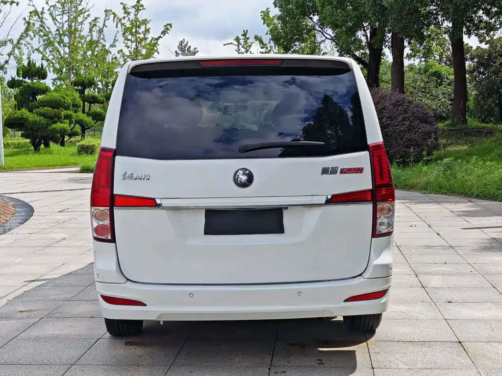 Fengxing Lingzhi PLUS 2021
