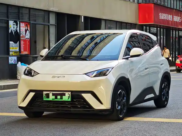 BYD Seagull 2024