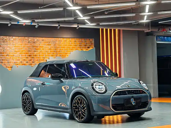 MINI MINI 2025