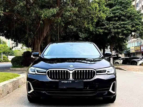 BMW 5 Series 2022