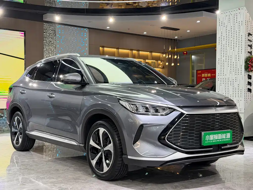 BYD PLUS New Energy 2023 — фото 3