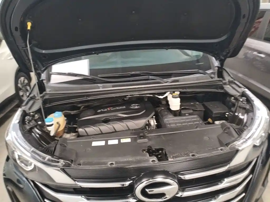 GAC Trumpchi M6 2020 — фото 20