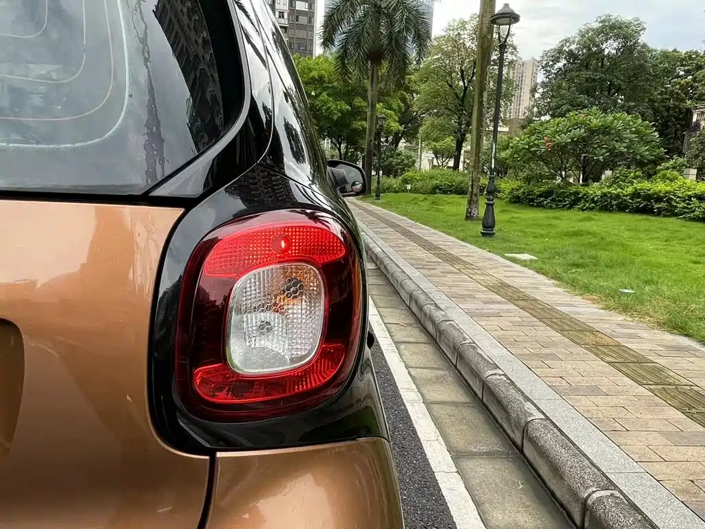 smart fortwo 2015 — фото 25