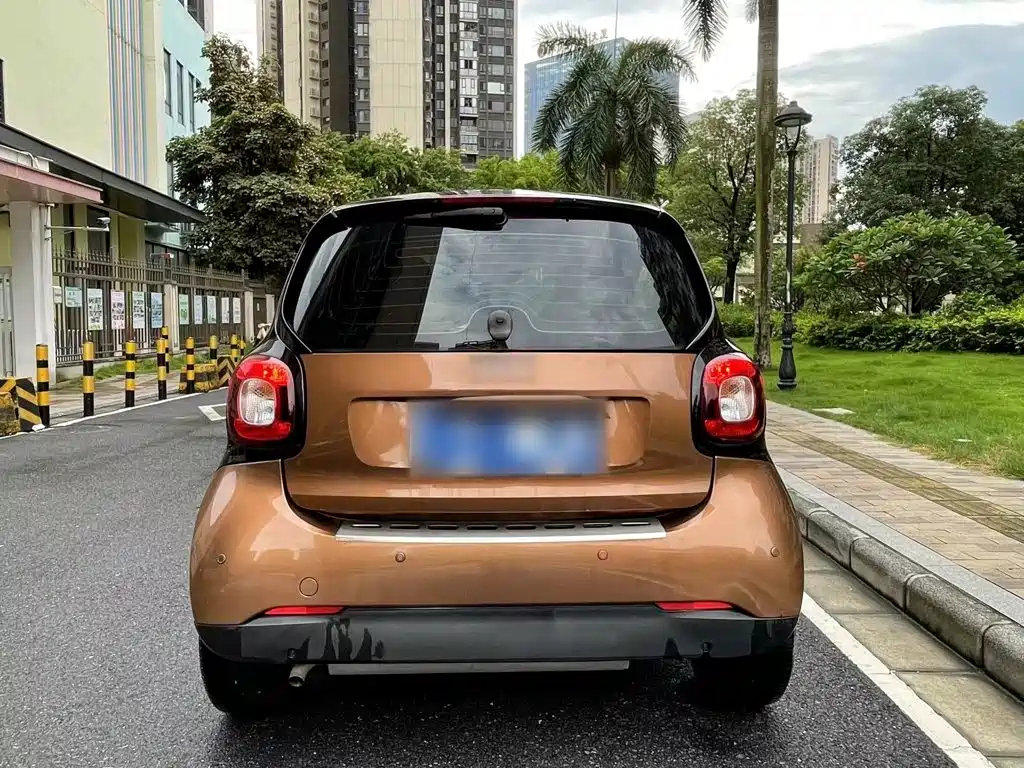 smart fortwo 2015 — фото 24