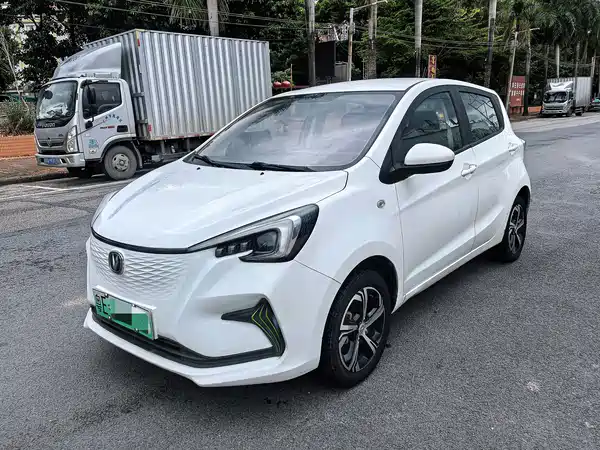 Changan Benben E-Star 2020