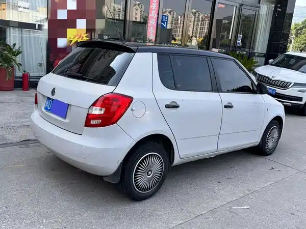 Skoda TECHART 2010