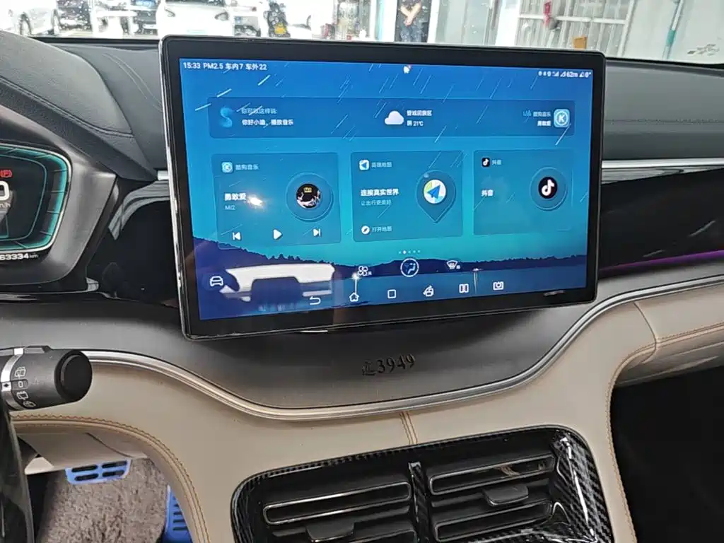 BYD Song PLUS New Energy 2023 — фото 13