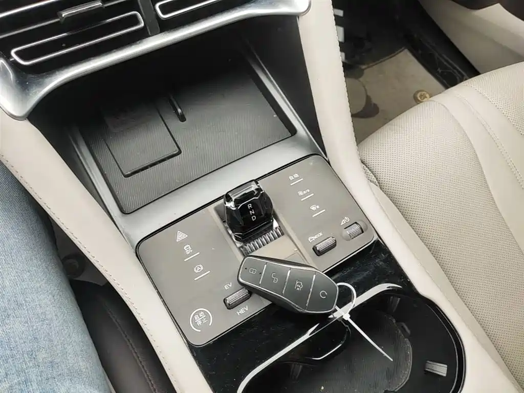 BYD PLUS New Energy 2024 — фото 14