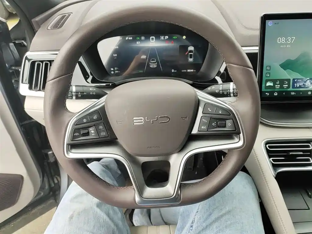 BYD PLUS New Energy 2024 — фото 11