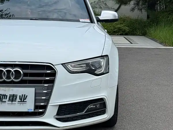 Audi S5 2013