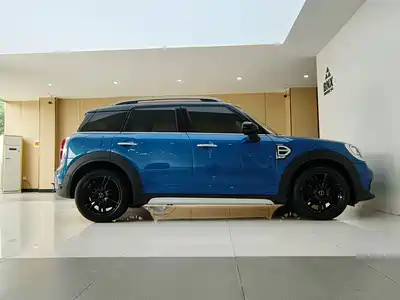 MINI MINI 2019