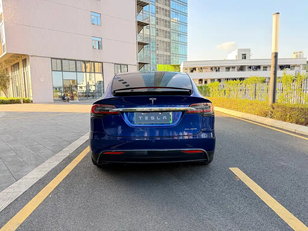 Tesla Model X 2019 — фото 4