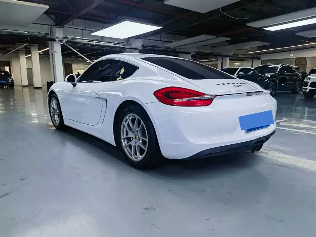 Porsche Cayman 2014 — фото 13