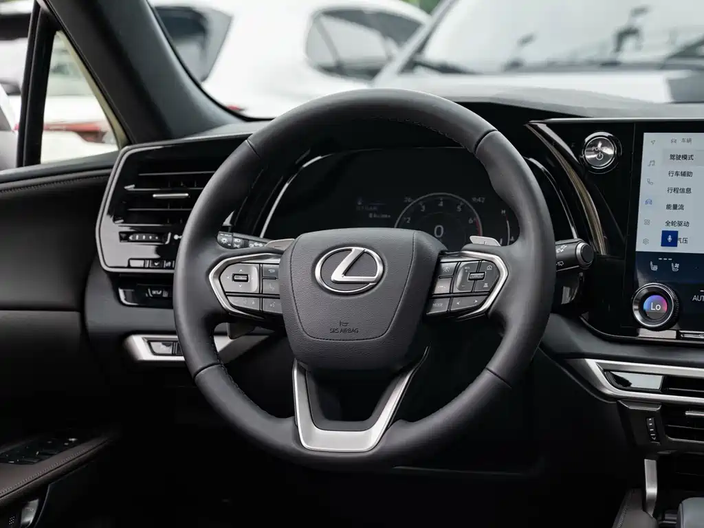 Lexus RX 2024 — фото 14