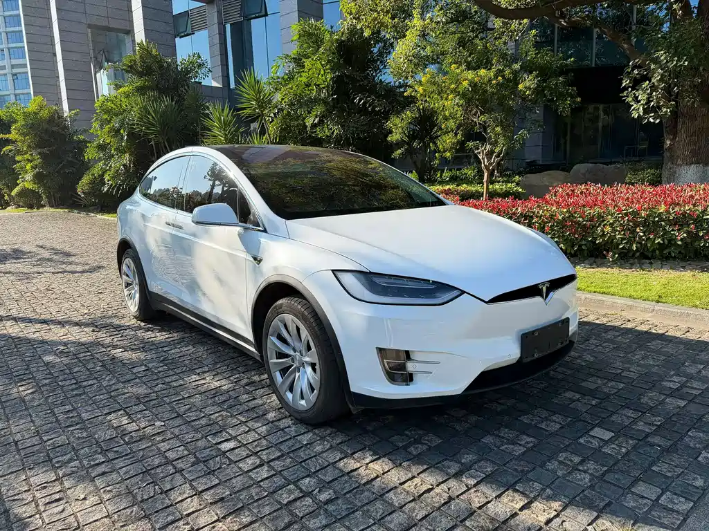 Tesla Model X 2016 — фото 2