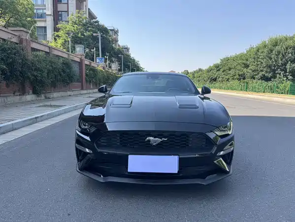 Ford Mustang 2019