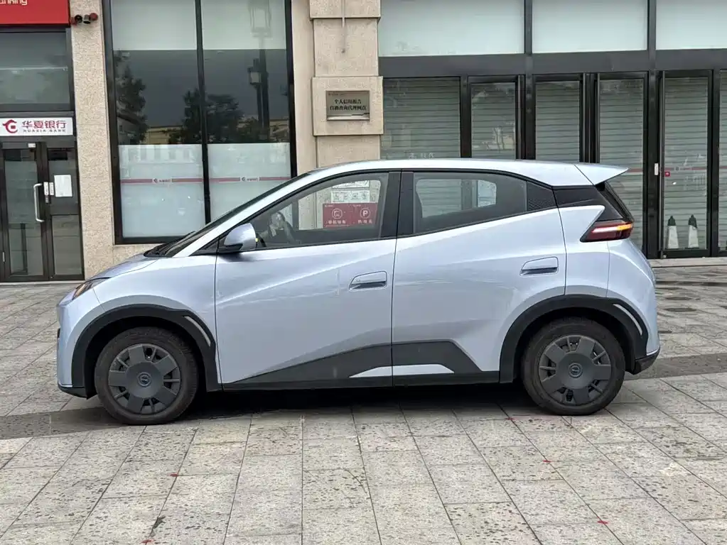 BYD Seagull 2024