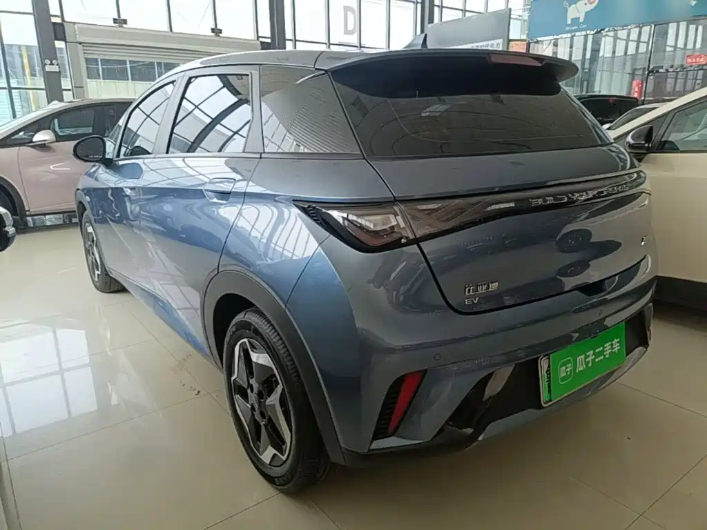 BYD Dolphin 2025