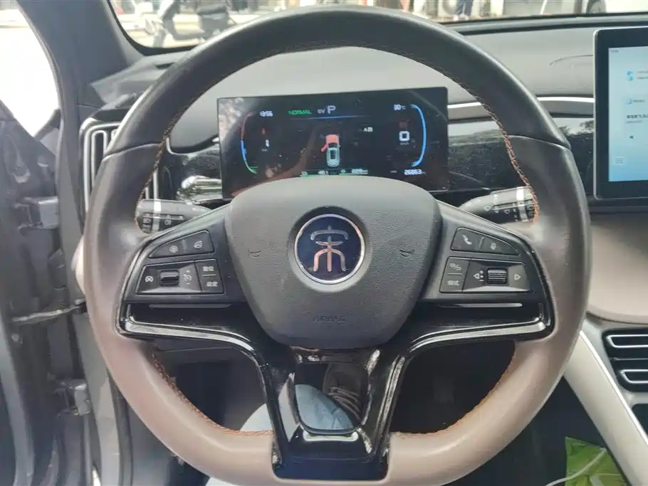 BYD Pro New Energy 2024 — фото 15