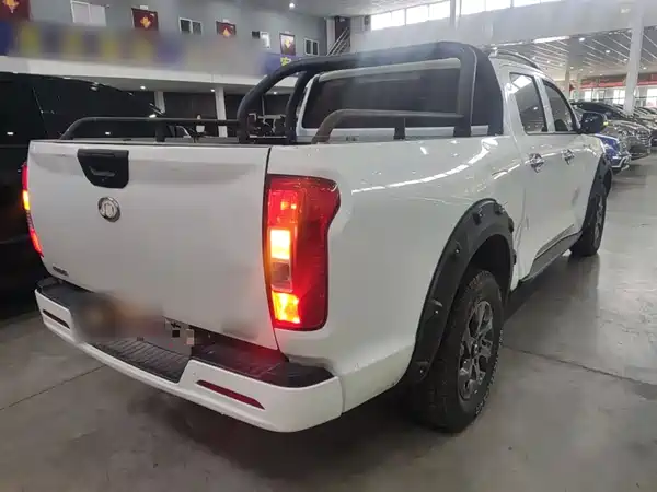 Great Wall Poer 2021