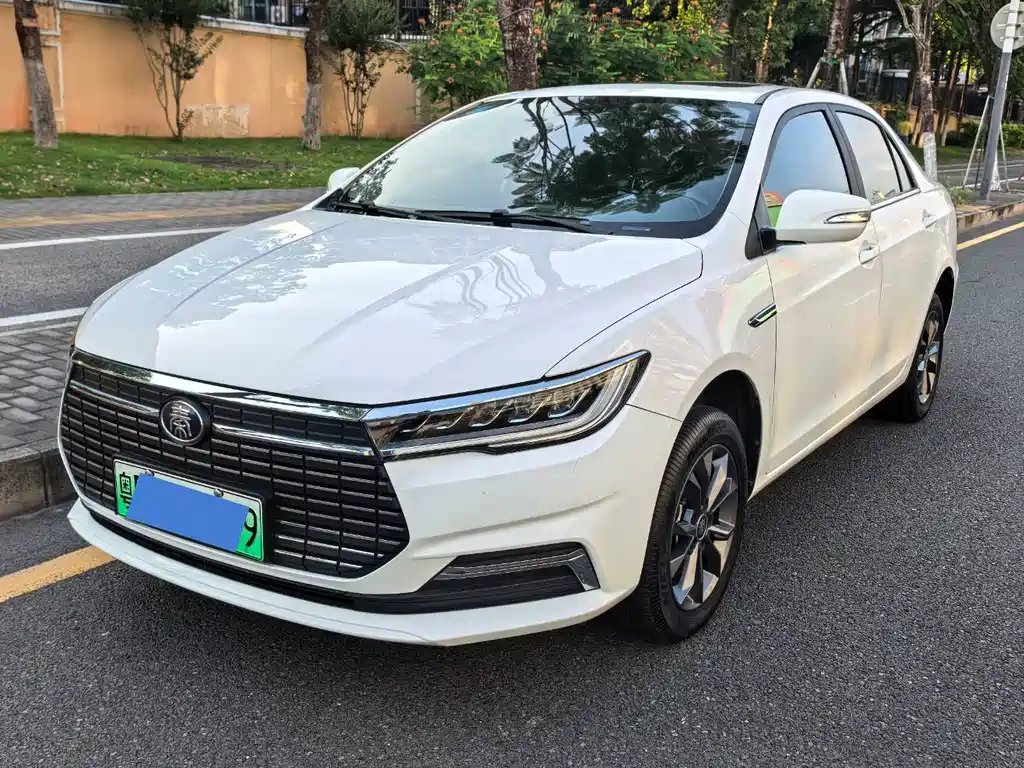 BYD Qin NEV 2020 — фото 1