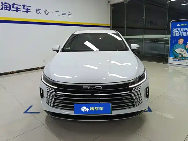 BYD Destroyer 05 2024
