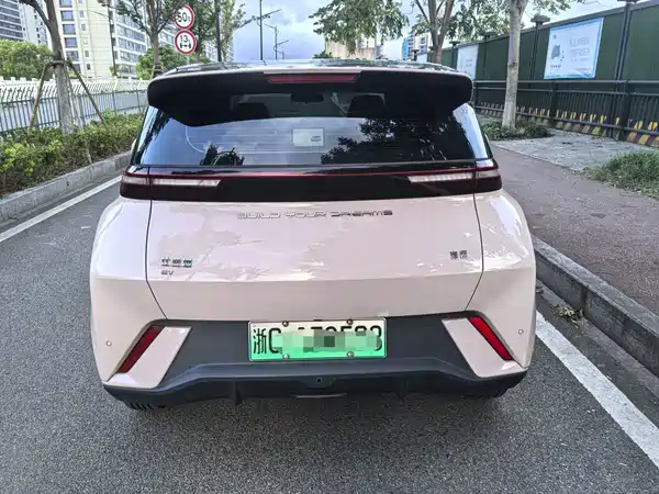 BYD Seagull 2024