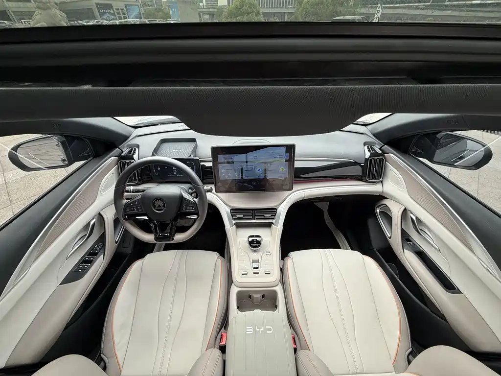 BYD Pro New Energy 2024 — фото 20