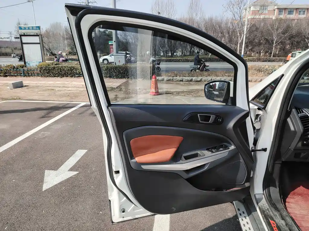 Ford Ecosport 2015 — фото 12