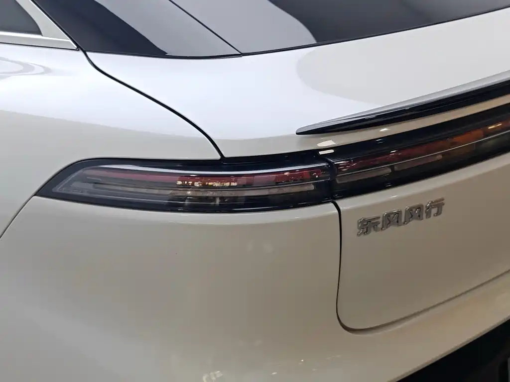 Dongfeng Xinghai S7 2024 — фото 8