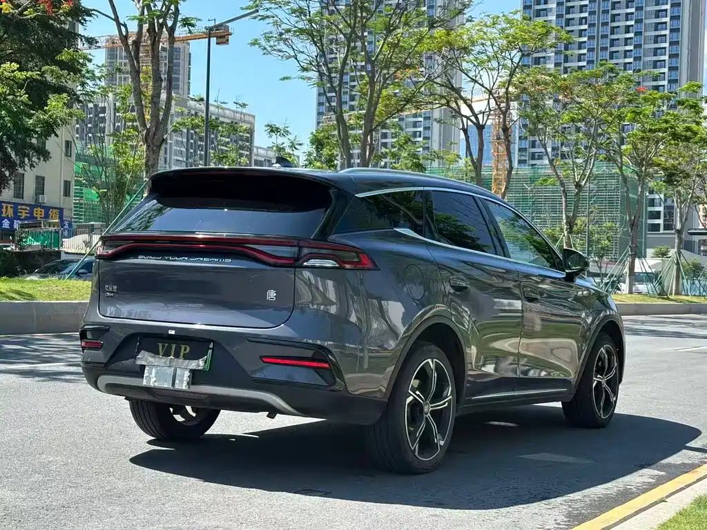 BYD Tang New Energy 2023 — фото 10