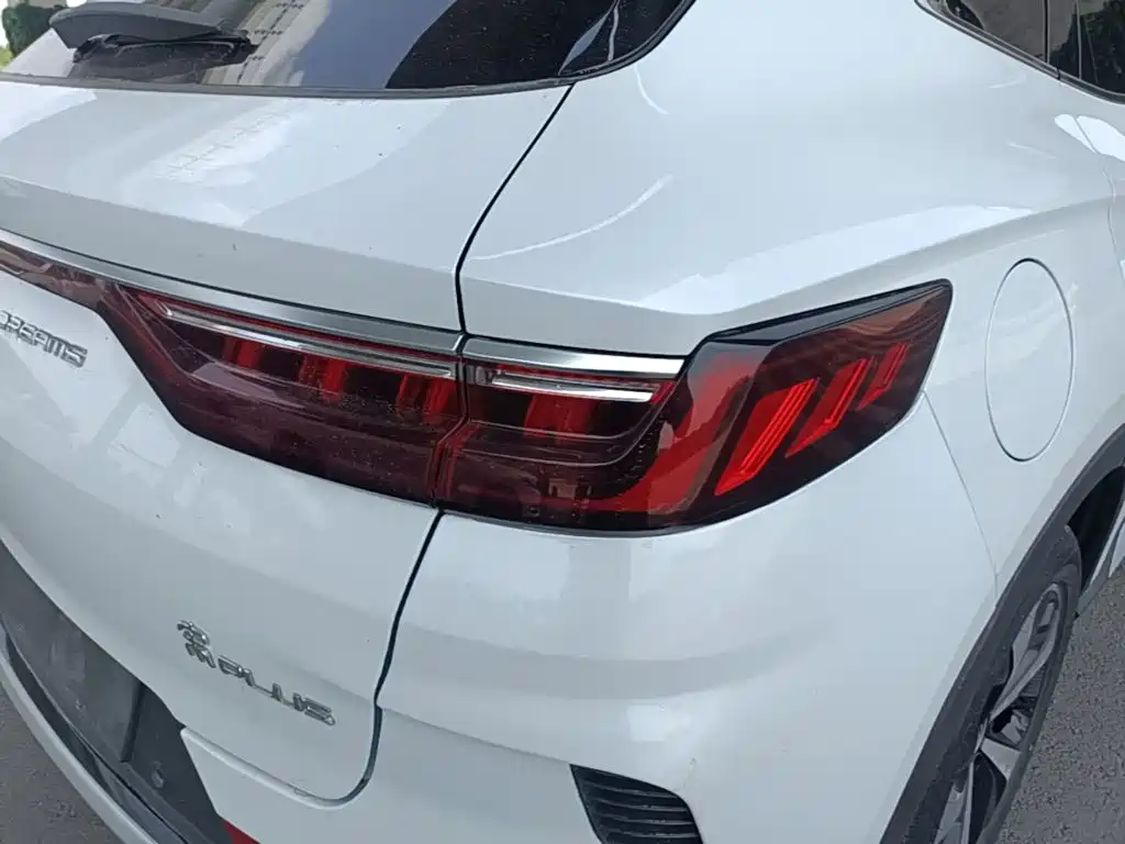 BYD PLUS New Energy 2022 — фото 8