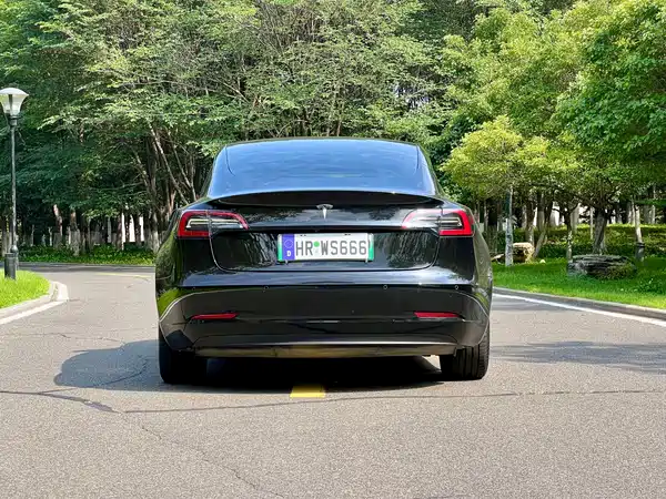 Tesla Model 3 2021