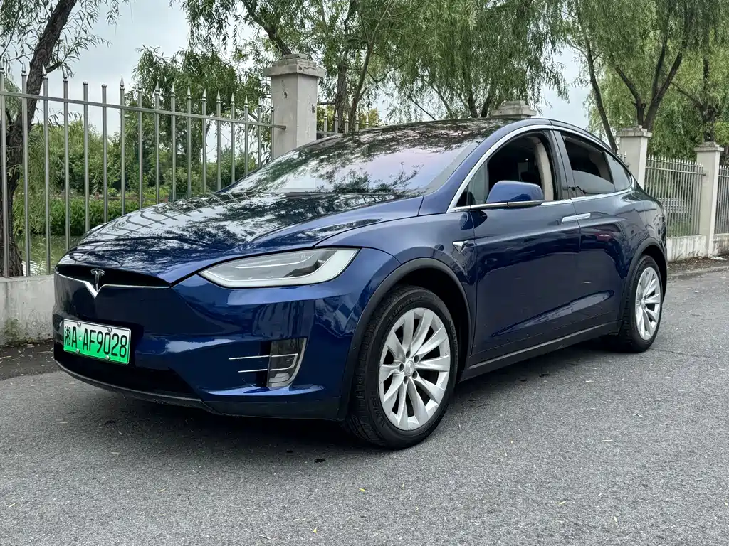 Tesla Model X 2017 — фото 2
