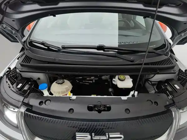 BYD Dolphin 2021