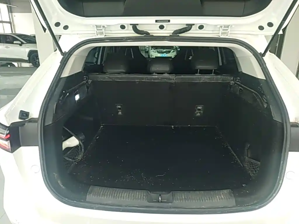 Roewe RX5 New Energy 2024 — фото 15