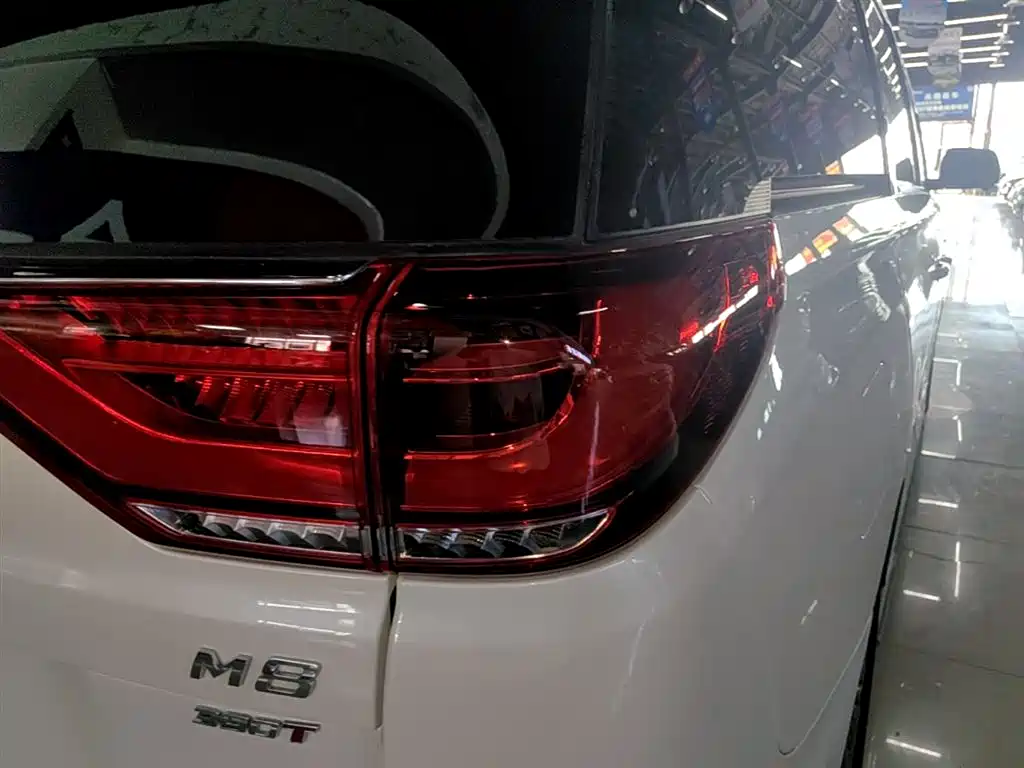 GAC Motor Trumpchi M8 2022 — фото 8