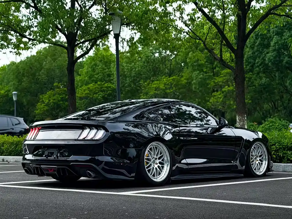 Ford Mustang 2019 — фото 8