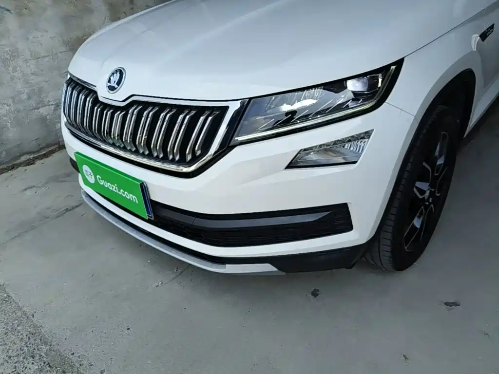 Skoda Kodiaq 2018 — фото 24