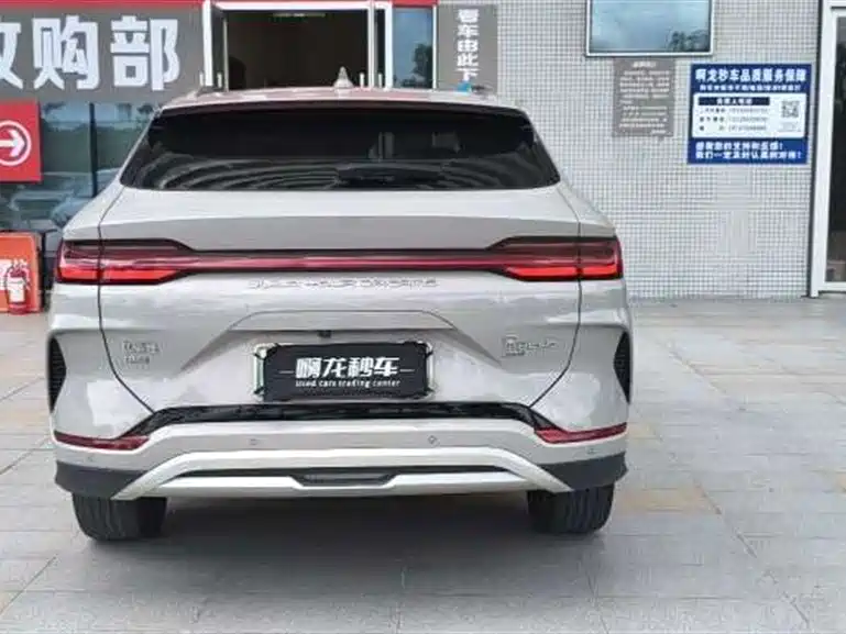BYD Song PLUS New Energy 2024 — фото 8