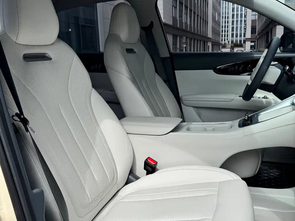 Geely Galaxy Starwish 2025 — фото 14