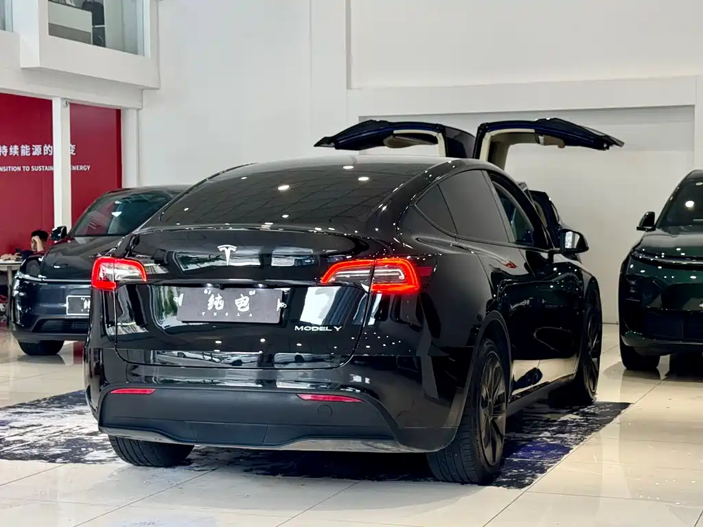 Tesla Model Y 2024 — фото 15