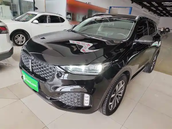 Wey VV6 2020