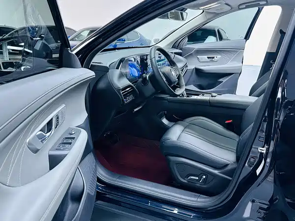 Dongfeng Haoji 2025