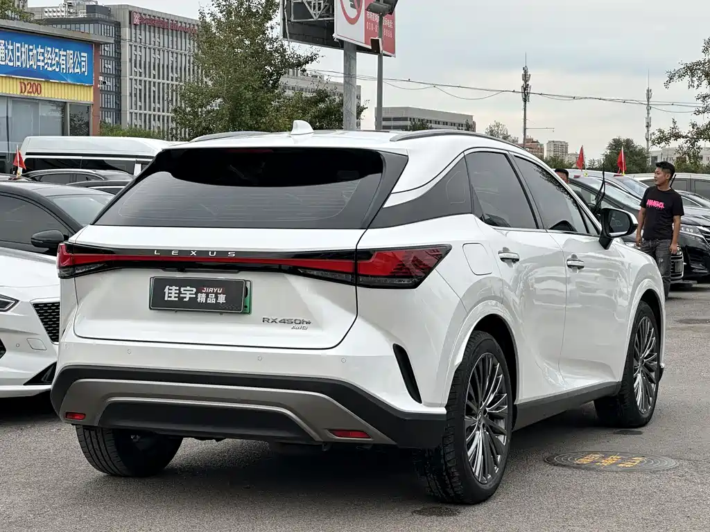 Lexus RX New Energy 2024 — фото 4