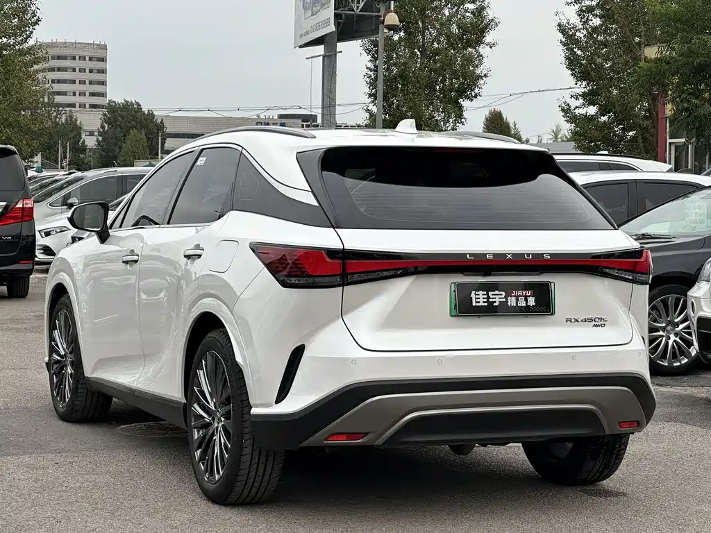 Lexus RX New Energy 2024 — фото 6