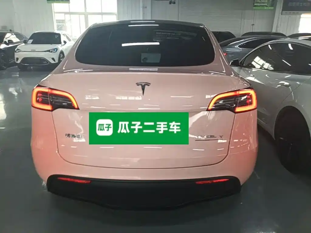 Tesla Model Y 2021