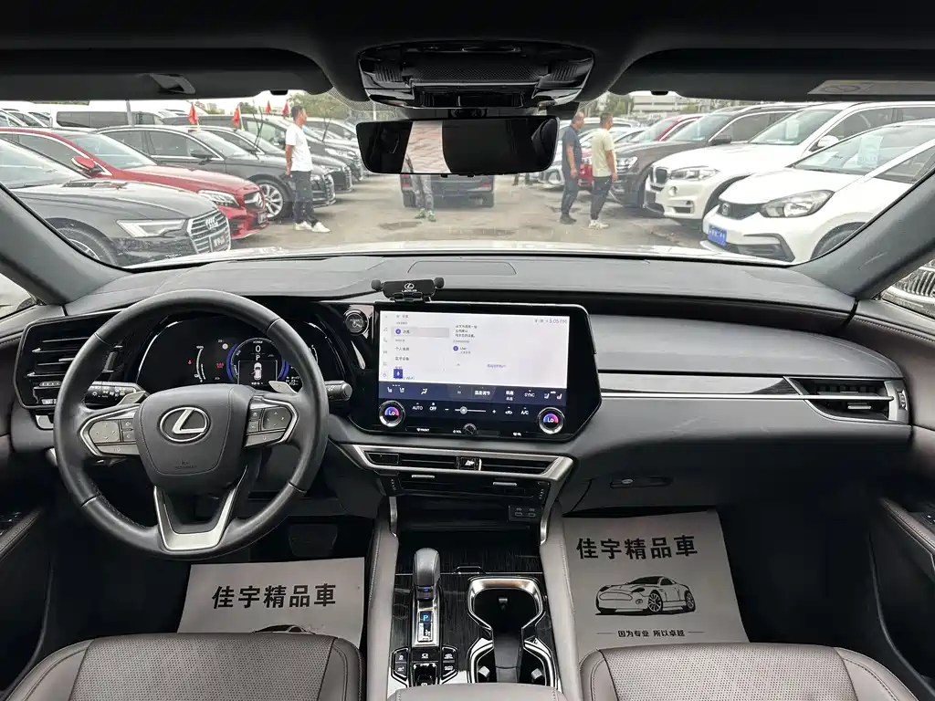Lexus RX New Energy 2024 — фото 10